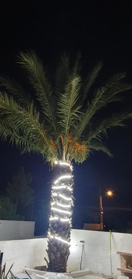 Apartamentos La Palmera Fernan Perez Exterior foto